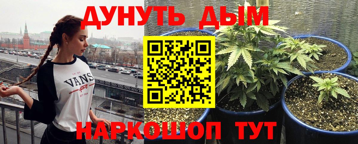 Марихуана семена  Бошки марихуана AK-47  Каннабис тримм  Бошки Шишки SATIVA & INDICA  Вход с VPN  Шахты 